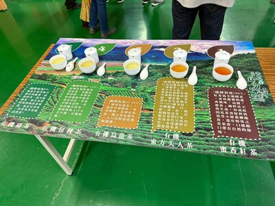 1141025松羅部落玉露茶園參訪