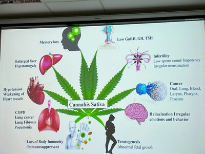 1141122泰北大麻二三事